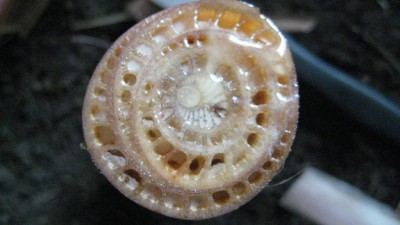 IMG_0200.JPG