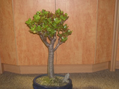 PICT1703.JPG