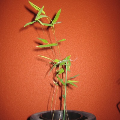 20100202_0001_6.JPG