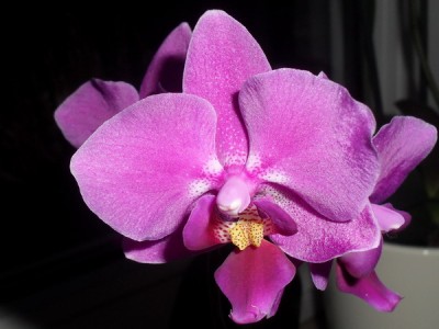 SDC12491_Bildgröße ändern.JPG