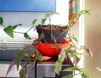 Bild 027.jpg