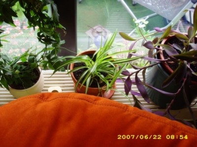Bild 025.jpg