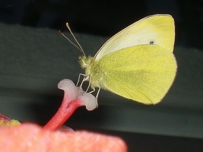RSCN63690001.JPG