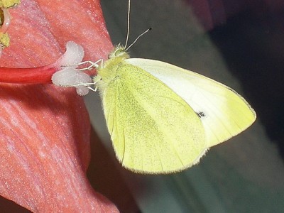 RSCN63670001.JPG