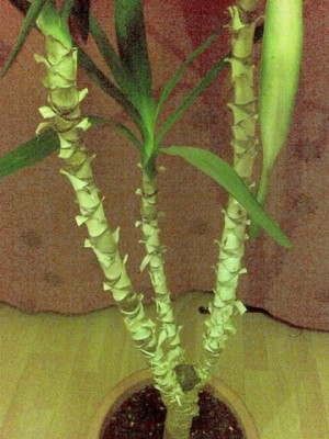 04022010(005).jpg