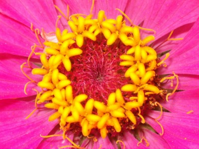 HPIM3385.JPG