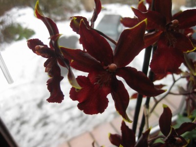 Größenänderung IMG_1623.JPG