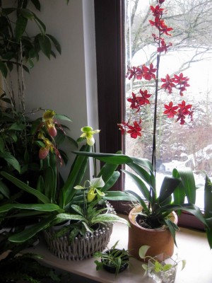 Größenänderung Wiederbelichtung von IMG_1624.JPG