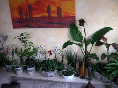 Wiederbelichtung von Größenänderung IMG_1573.JPG