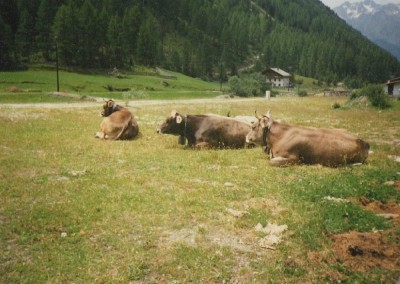 Urlaub 1994 (1).jpg