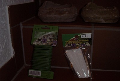 Pflanzen 2010-02-12 001.jpg