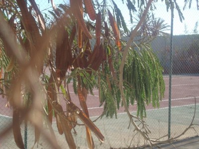 DSC02466.jpg