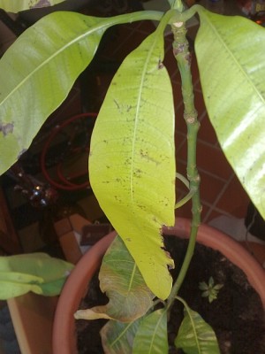 14022010175s.jpg