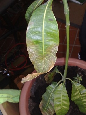 14022010174s.jpg