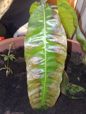 14022010173s.jpg