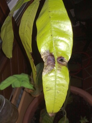 14022010172s.jpg