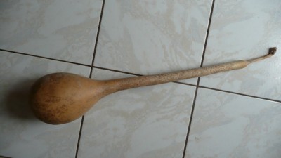 Pflanze s.jpg