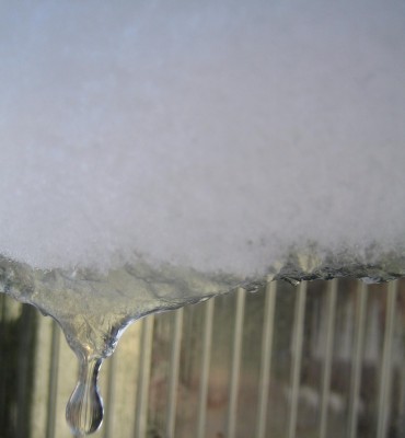 20100215_0001_2.JPG