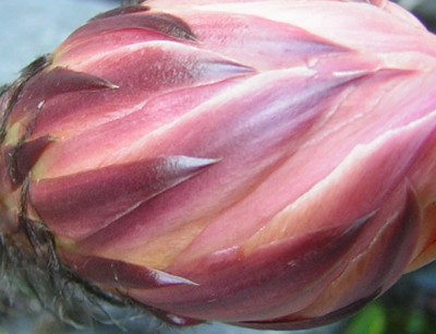 DSCN3607.JPG