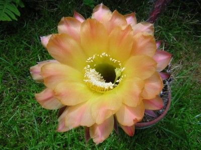 DSCN3593.JPG