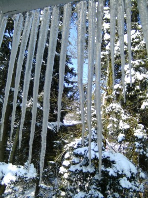eiszapfen2.jpg