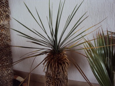 XX 054.jpg