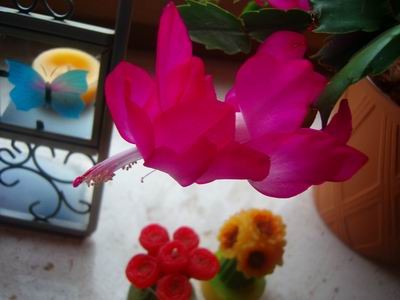100D7763.JPG