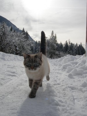 Silvio Kater Robert Höck.JPG