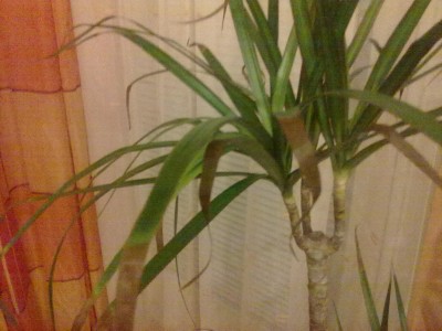 17022010030.jpg