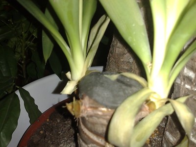 18022010960.jpg