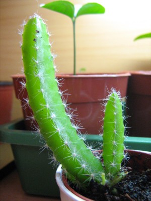 Bild 014.JPG