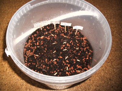 BILD0899.JPG