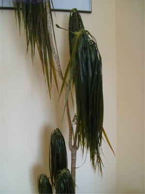 BILD0891.JPG