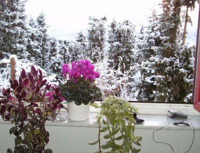 BILD0230.JPG