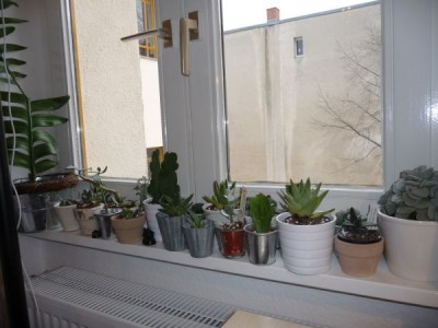 P1030284_600_450.jpg