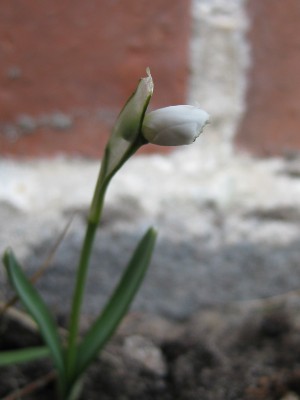 IMG_2823.JPG