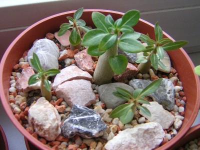 DSCN3611.JPG