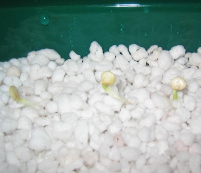 20100223_0001_4.JPG