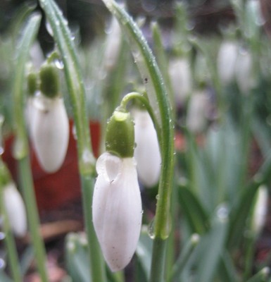 20100223_0001_2.JPG