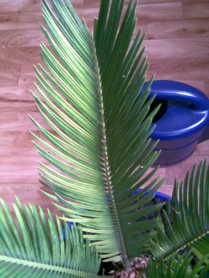 Bild063.jpg