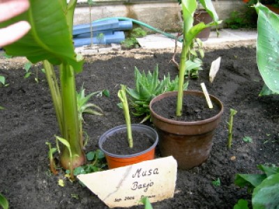 PICT0126.JPG