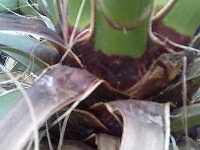 24022010018.jpg