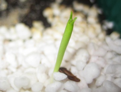 20100224_0001_2.JPG