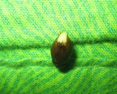 20100219_0001_6.JPG