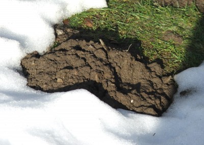 DSCF2233.jpg