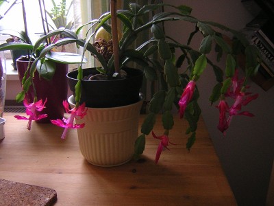 DSCN3601.JPG