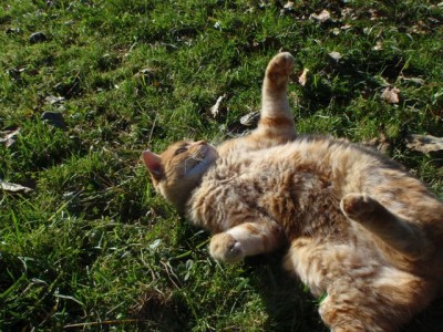 Gina Herbst Robert Höck 41.jpg