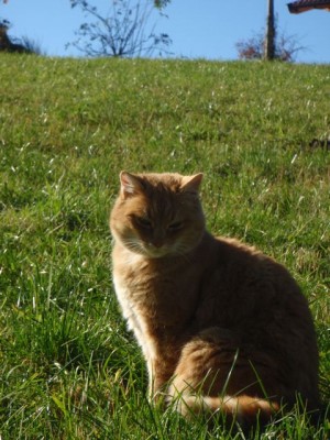 Gina Herbst Robert Höck 31.jpg