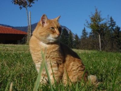 Gina Herbst Robert Höck 21.jpg