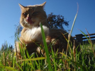 Gina Herbst Robert Höcjk1.jpg